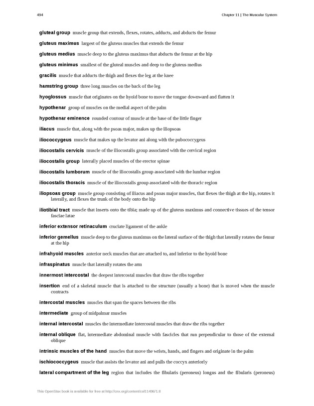 Anatomy & Physiology - 