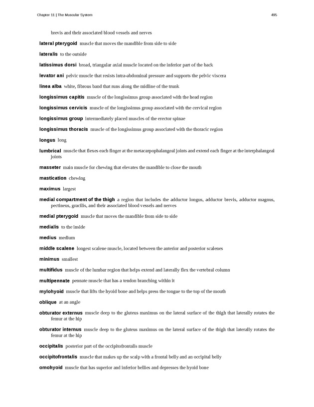 Anatomy & Physiology - 