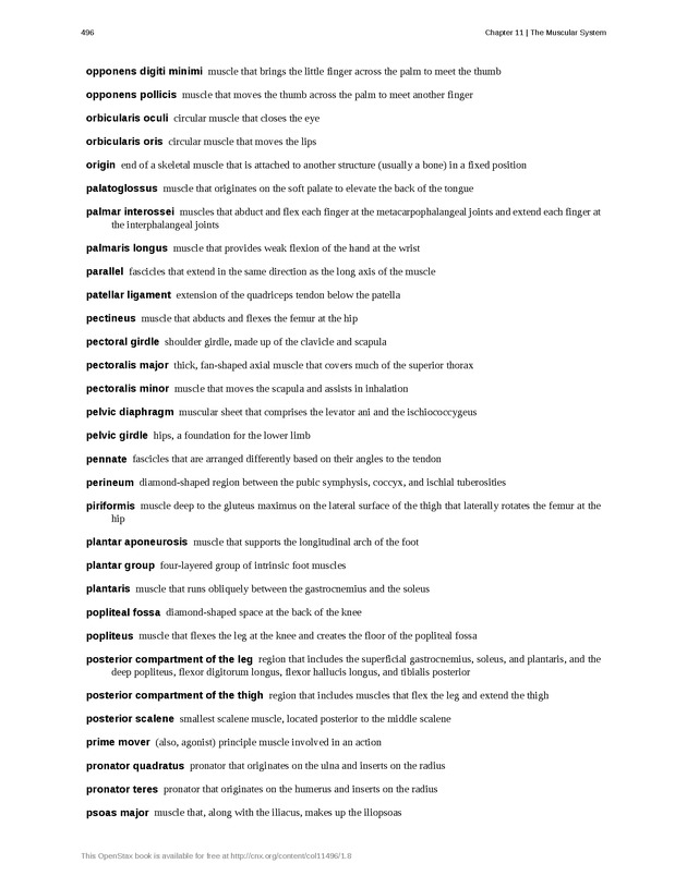 Anatomy & Physiology - 
