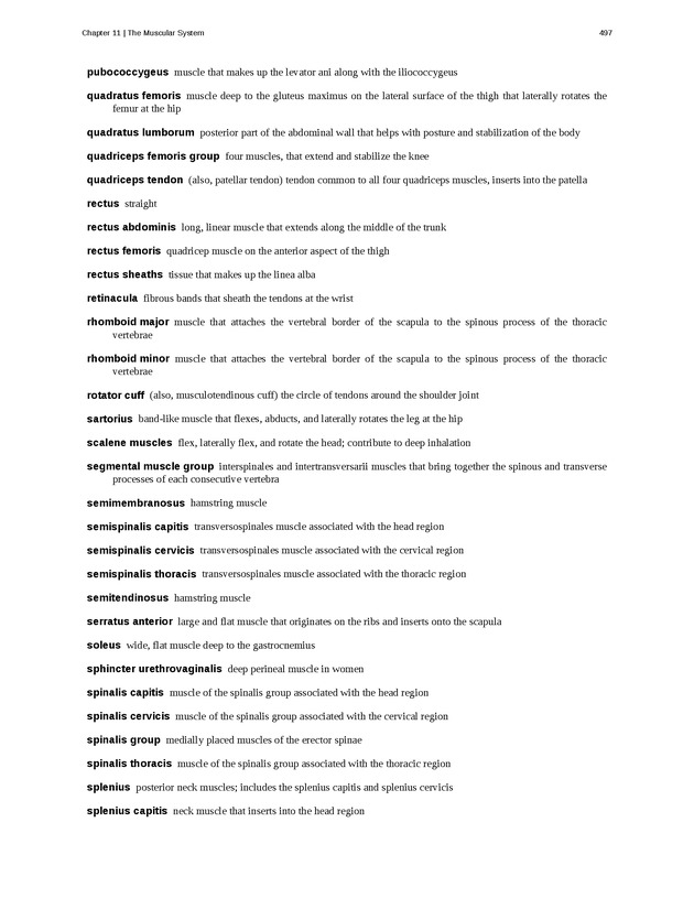 Anatomy & Physiology - 