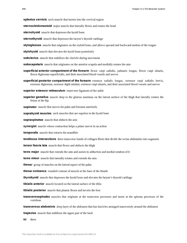 Anatomy & Physiology - 