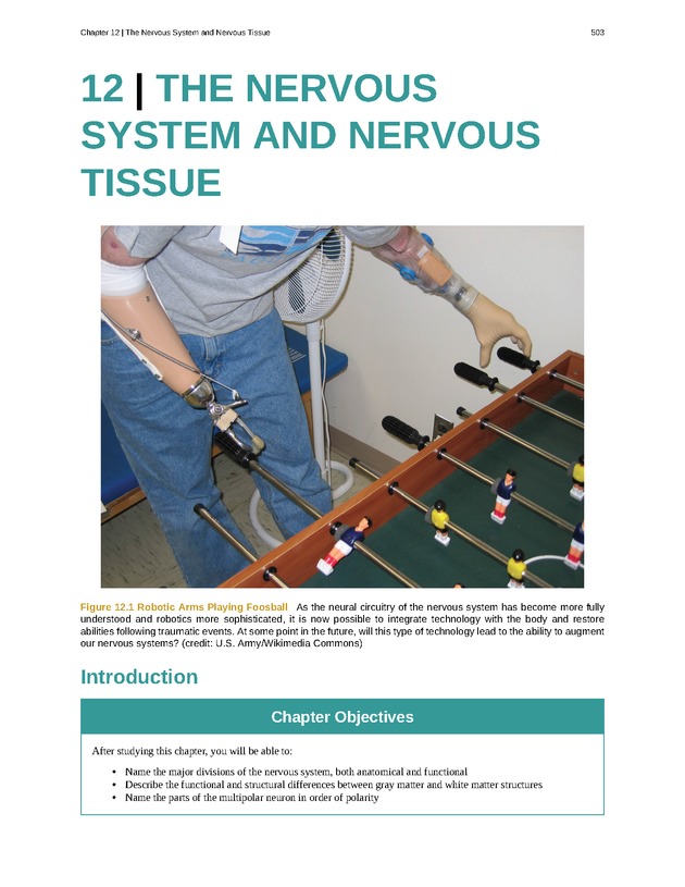 Anatomy & Physiology - 