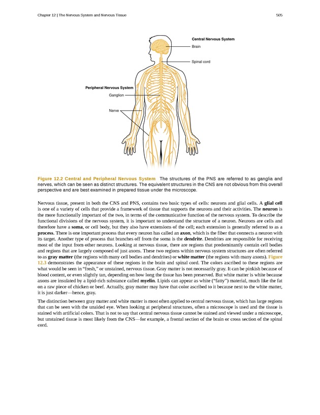Anatomy & Physiology - 