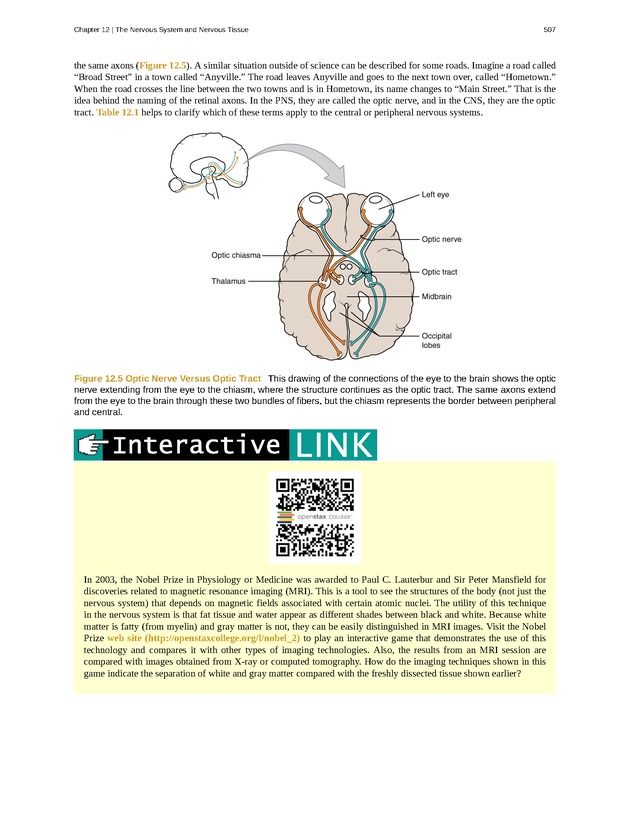 Anatomy & Physiology - 