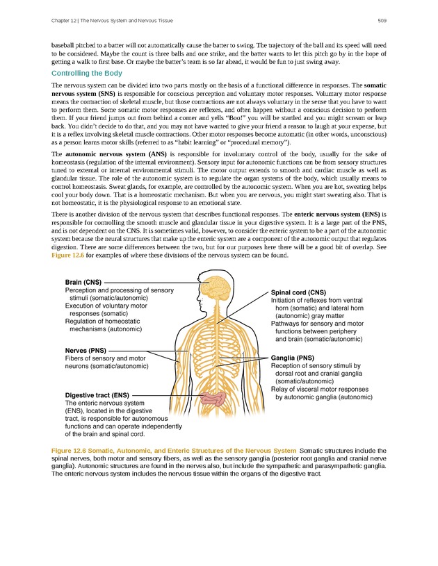 Anatomy & Physiology - 