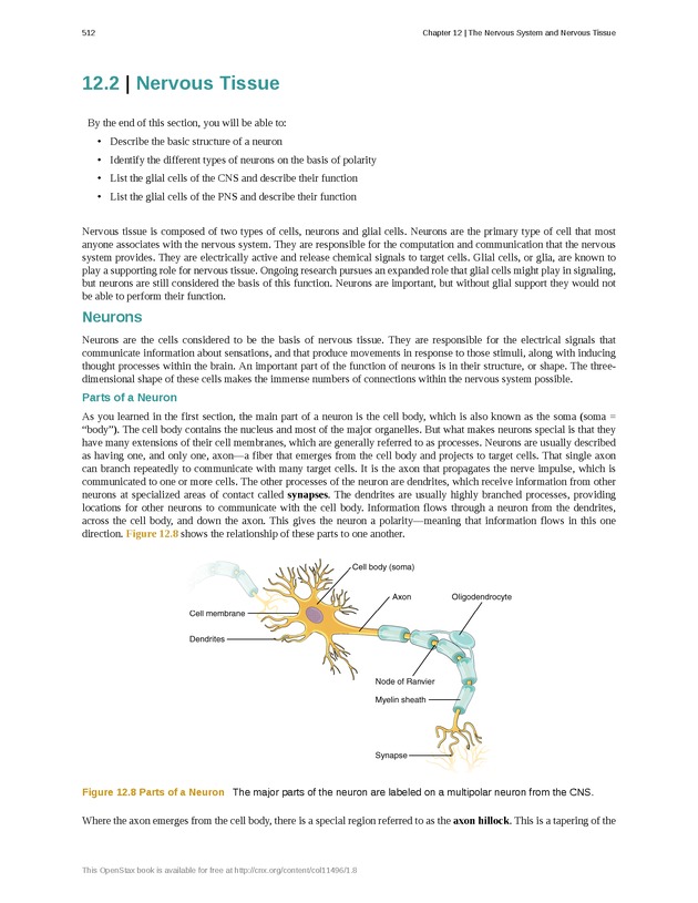 Anatomy & Physiology - 