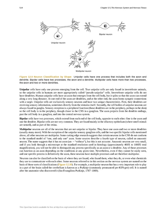 Anatomy & Physiology - 