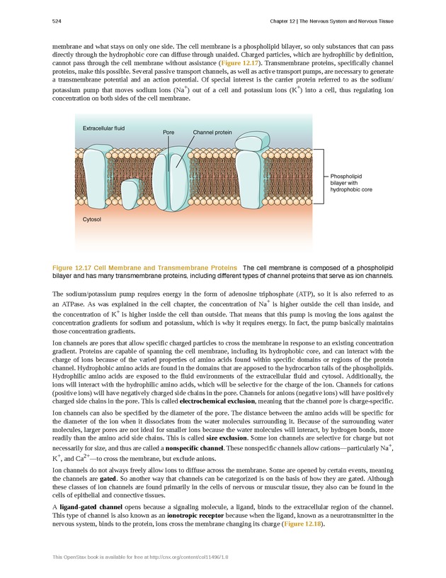 Anatomy & Physiology - 
