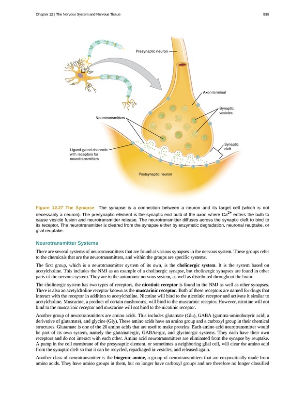 Anatomy & Physiology - 