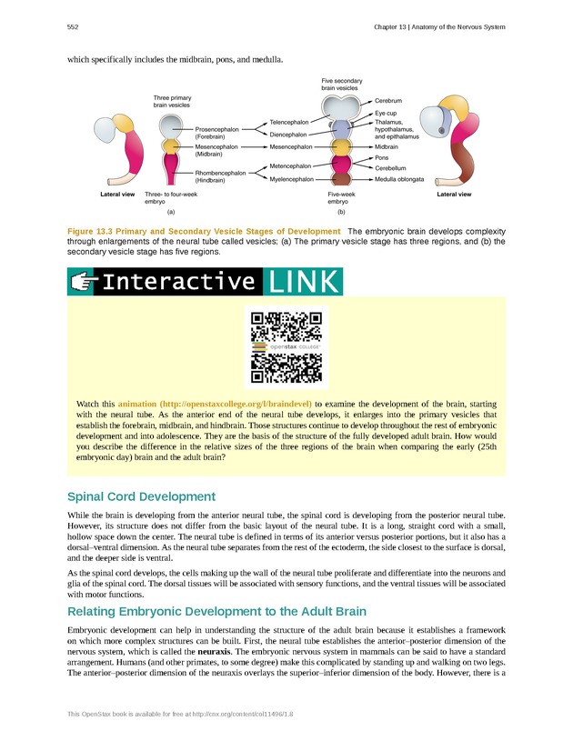 Anatomy & Physiology - 