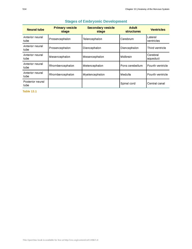 Anatomy & Physiology - 