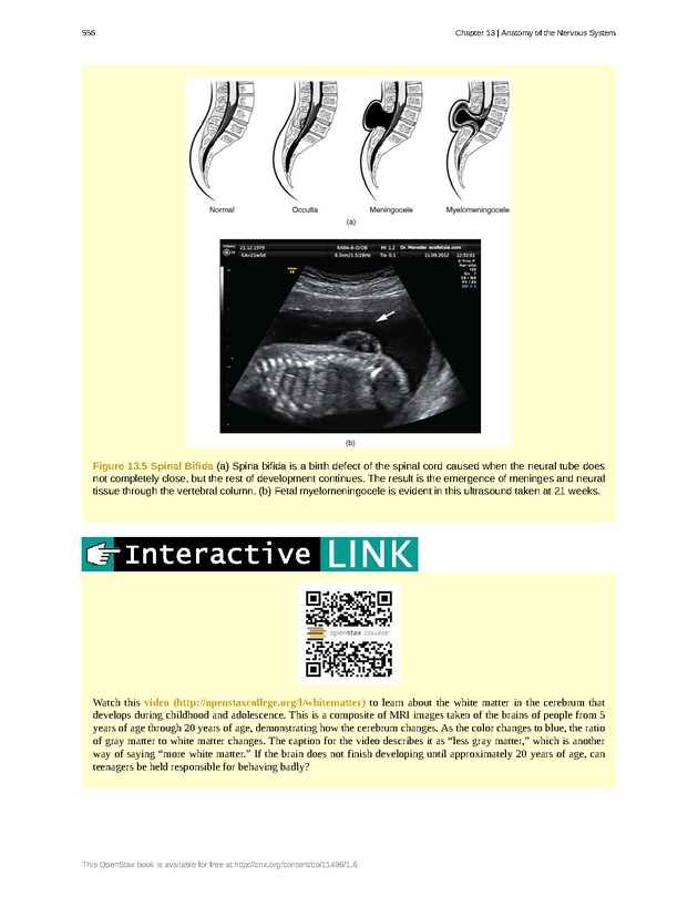 Anatomy & Physiology - 