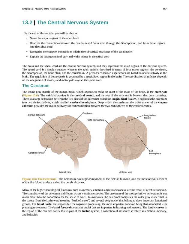 Anatomy & Physiology - 