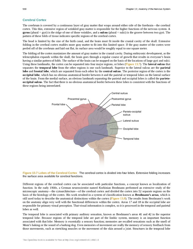 Anatomy & Physiology - 