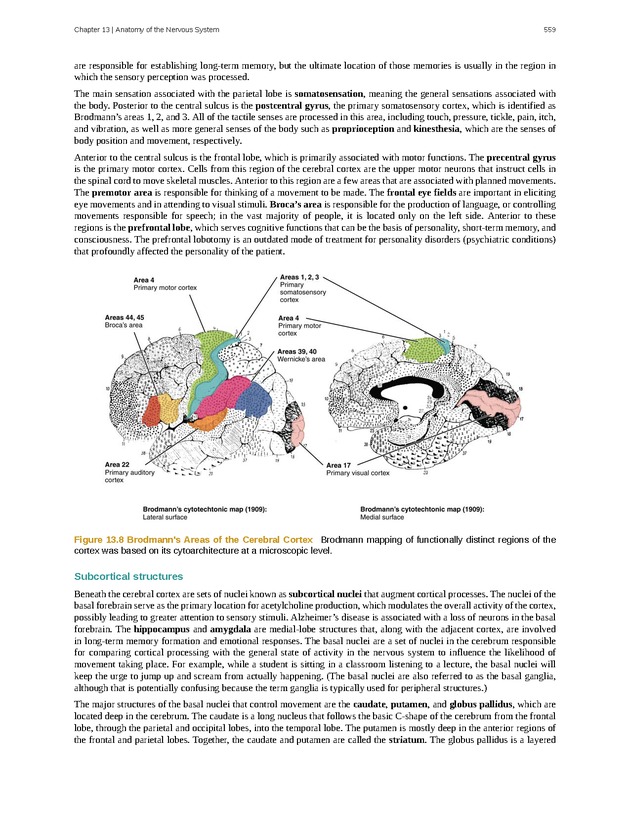 Anatomy & Physiology - 