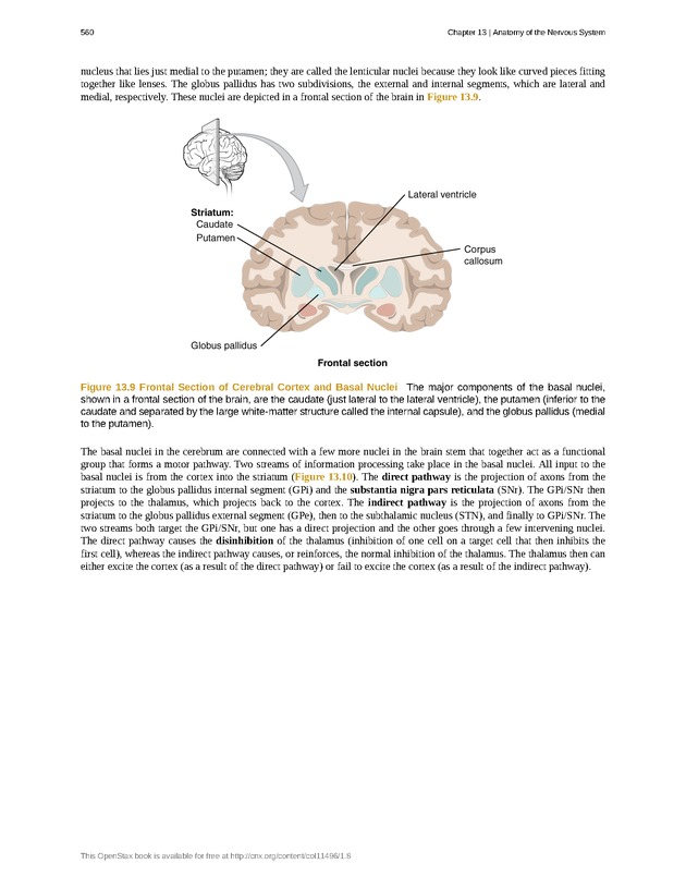 Anatomy & Physiology - 