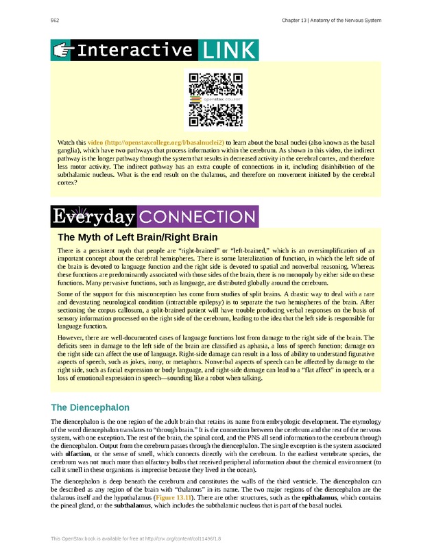 Anatomy & Physiology - 