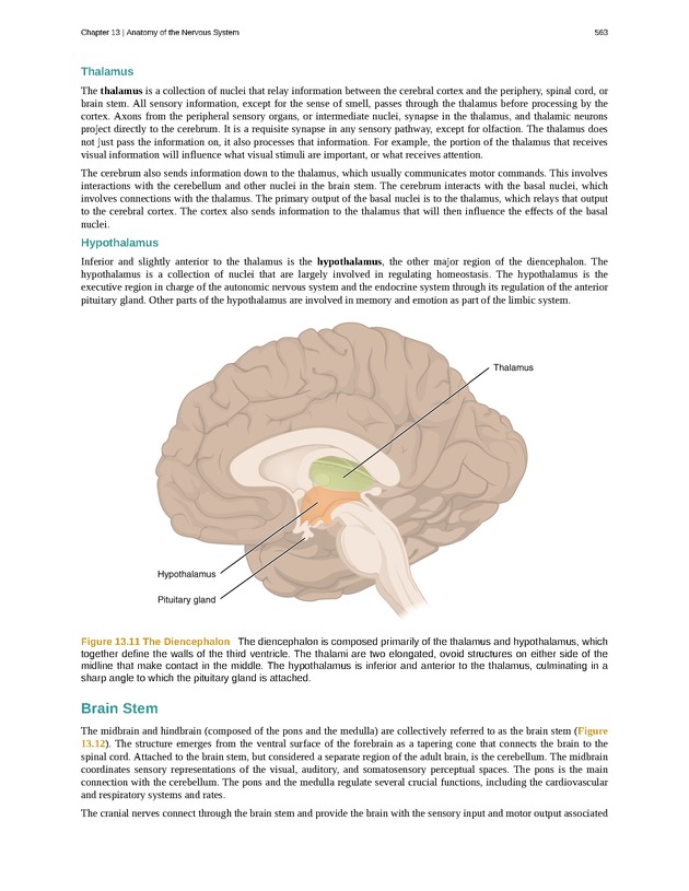 Anatomy & Physiology - 