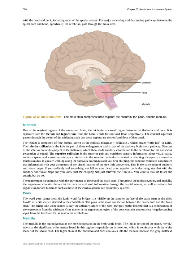 Anatomy & Physiology - 