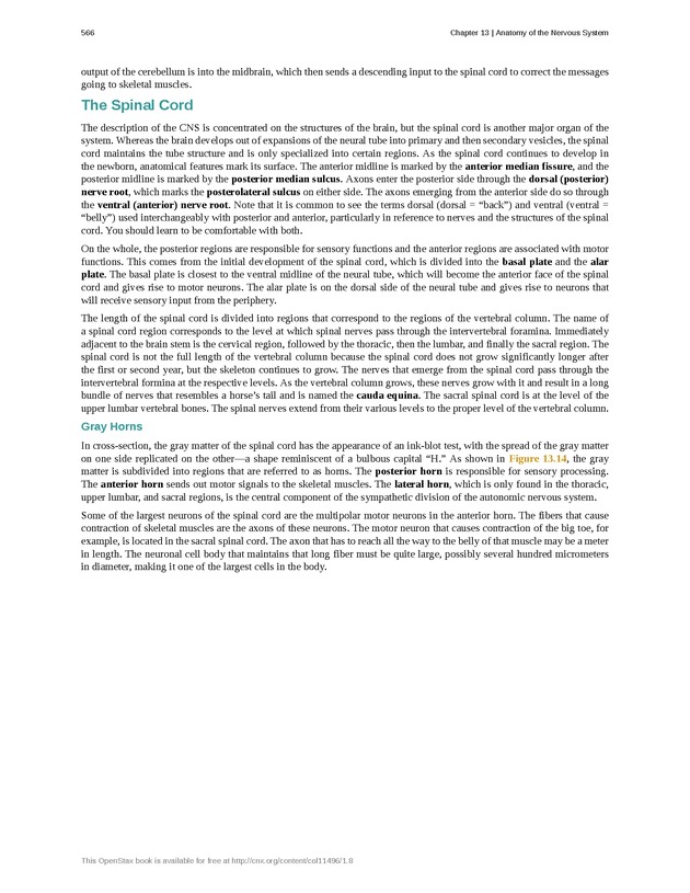 Anatomy & Physiology - 