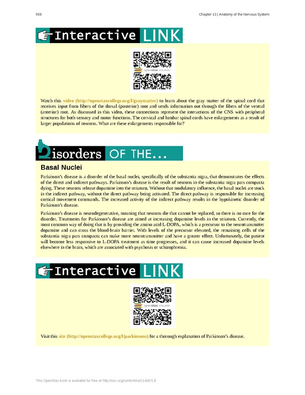 Anatomy & Physiology - 
