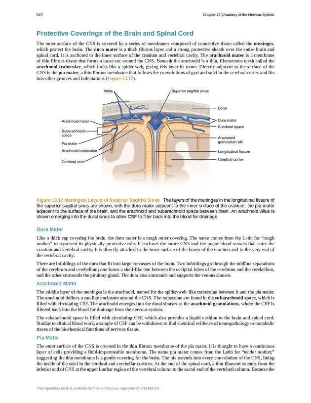 Anatomy & Physiology - 