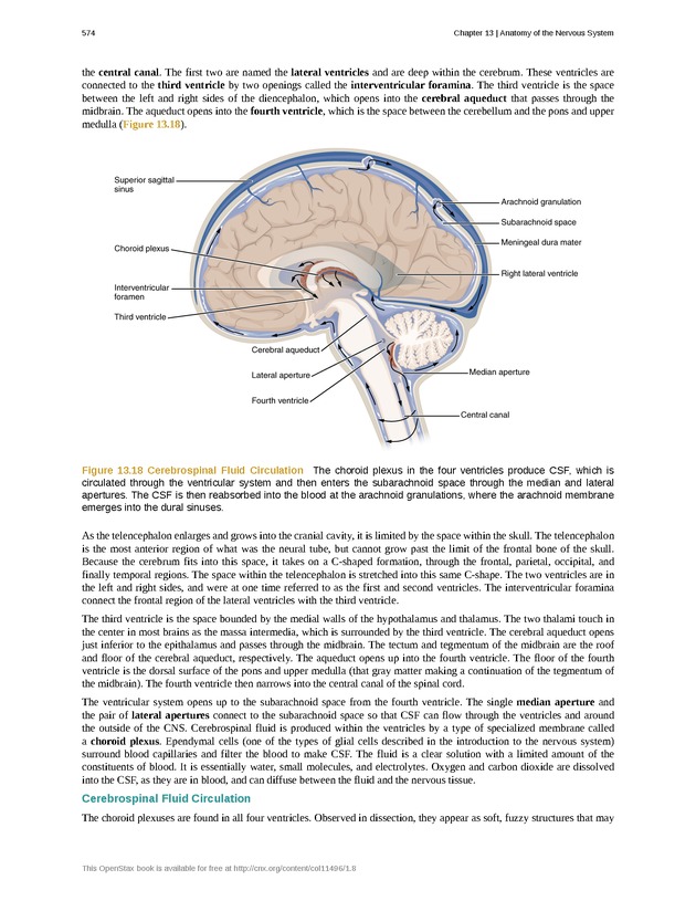 Anatomy & Physiology - 