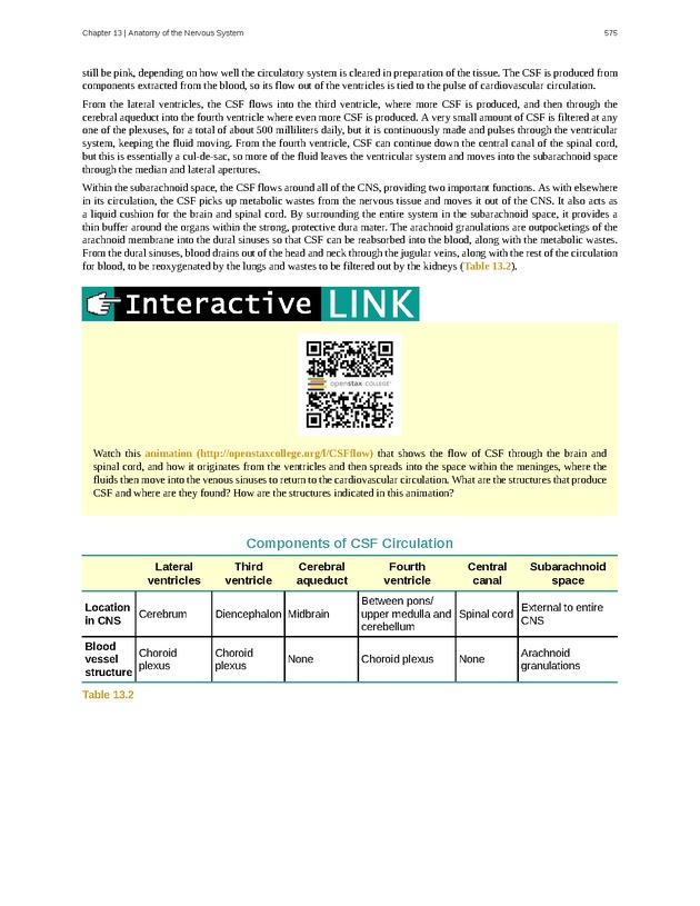 Anatomy & Physiology - 
