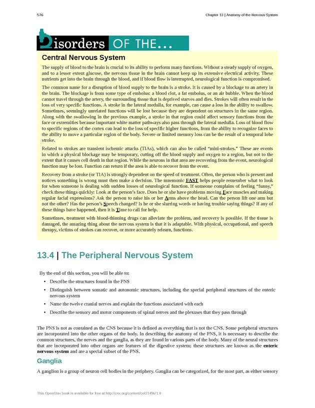 Anatomy & Physiology - 