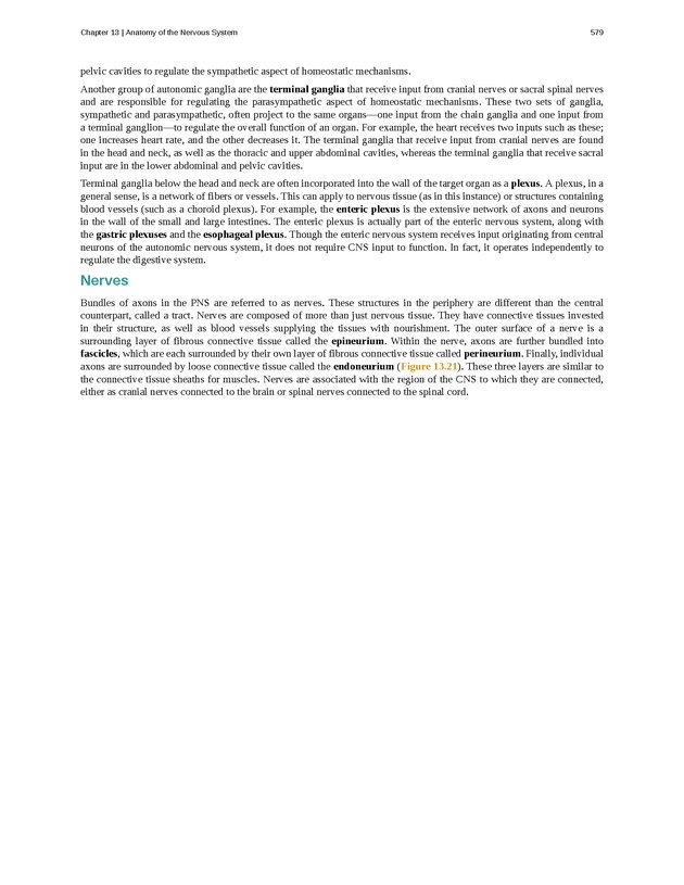 Anatomy & Physiology - 