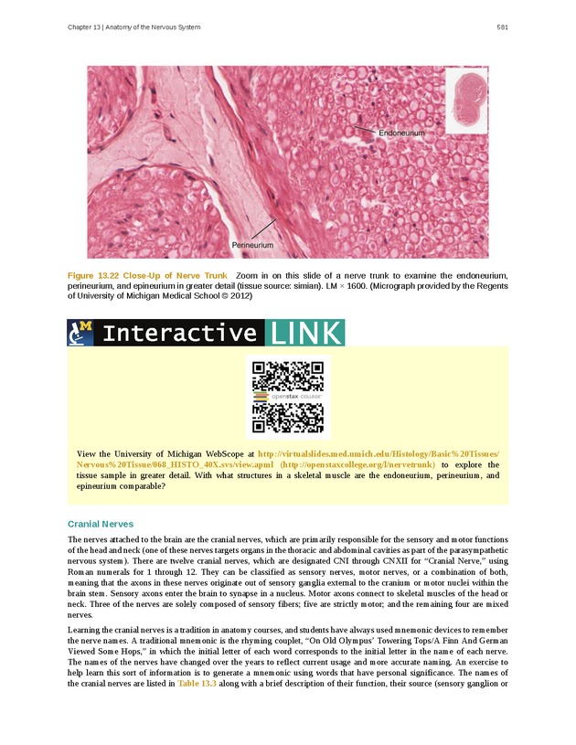 Anatomy & Physiology - 
