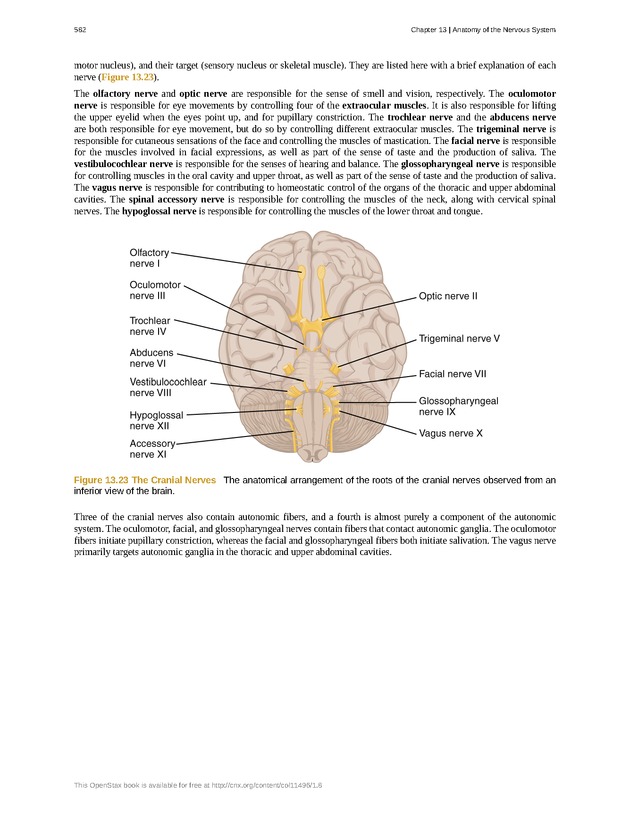 Anatomy & Physiology - 