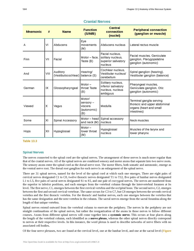 Anatomy & Physiology - 