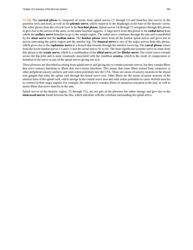 Anatomy & Physiology - 