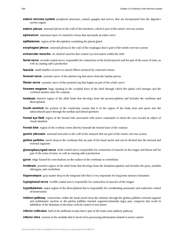 Anatomy & Physiology - 