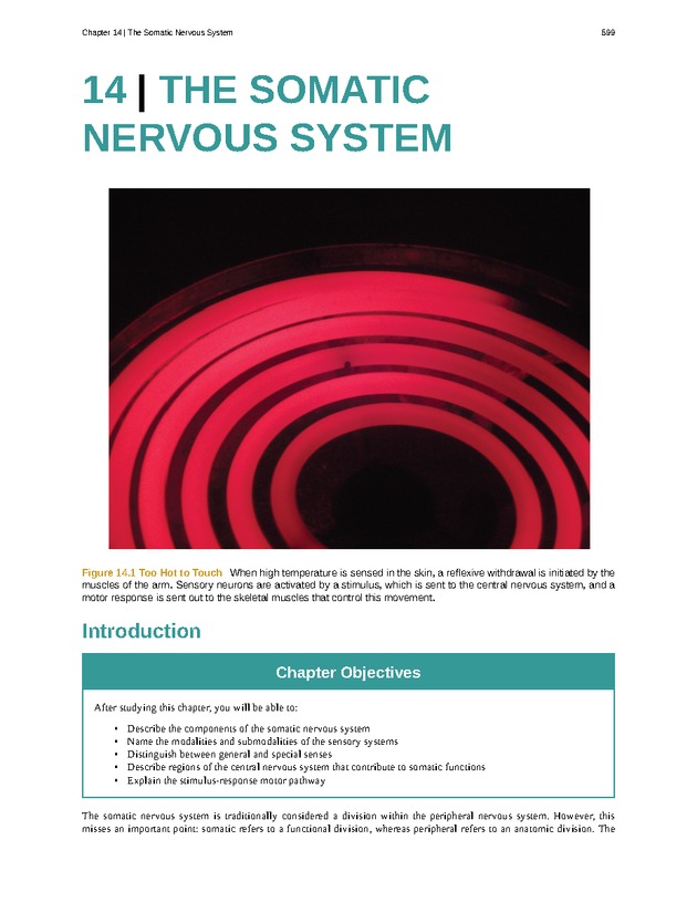 Anatomy & Physiology - 
