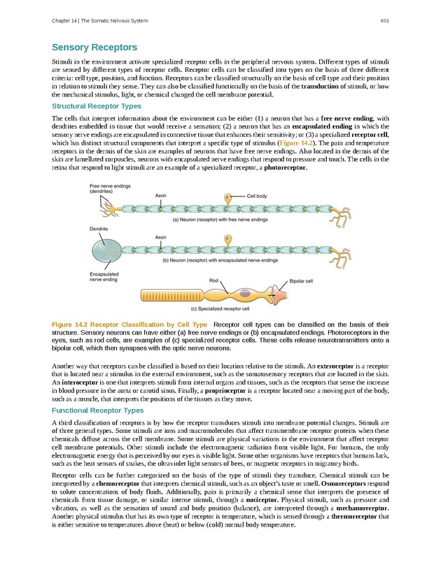 Anatomy & Physiology - 