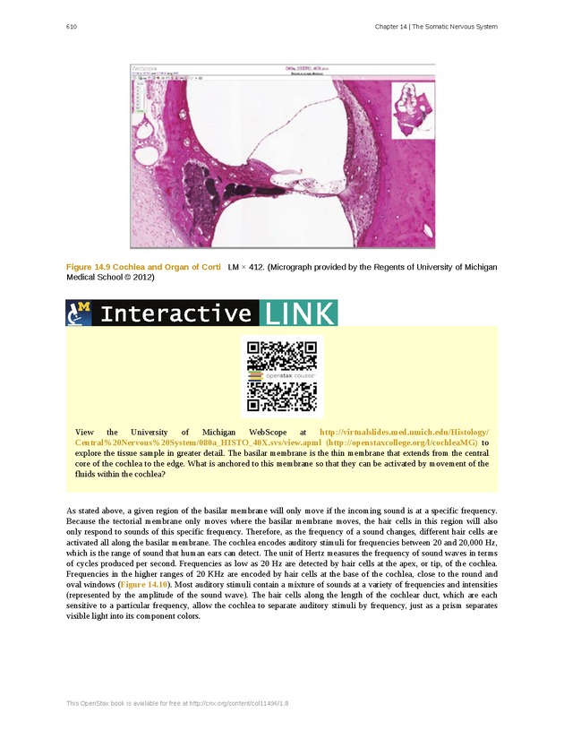 Anatomy & Physiology - 