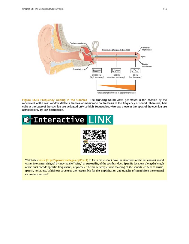 Anatomy & Physiology - 