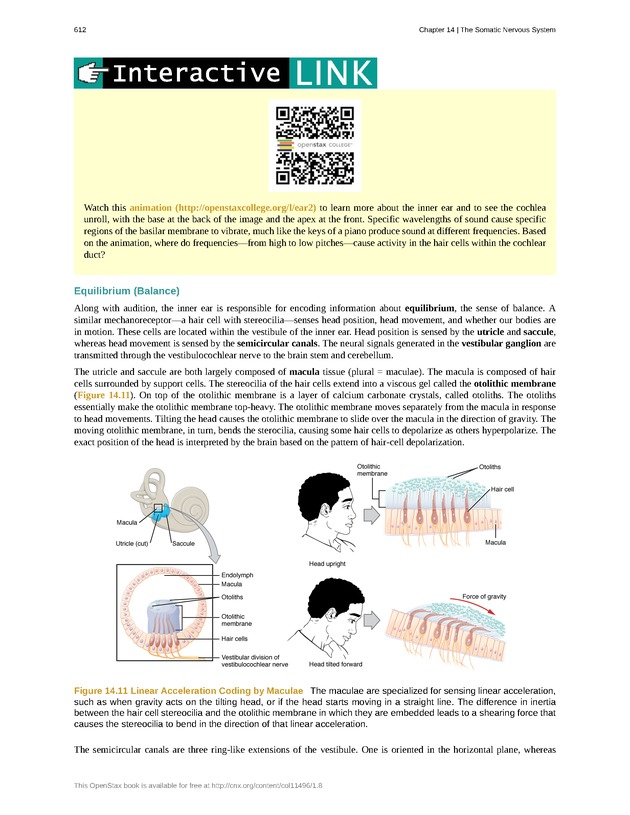 Anatomy & Physiology - 