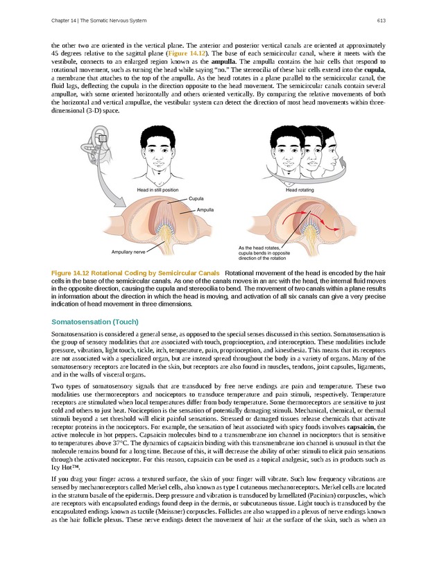 Anatomy & Physiology - 