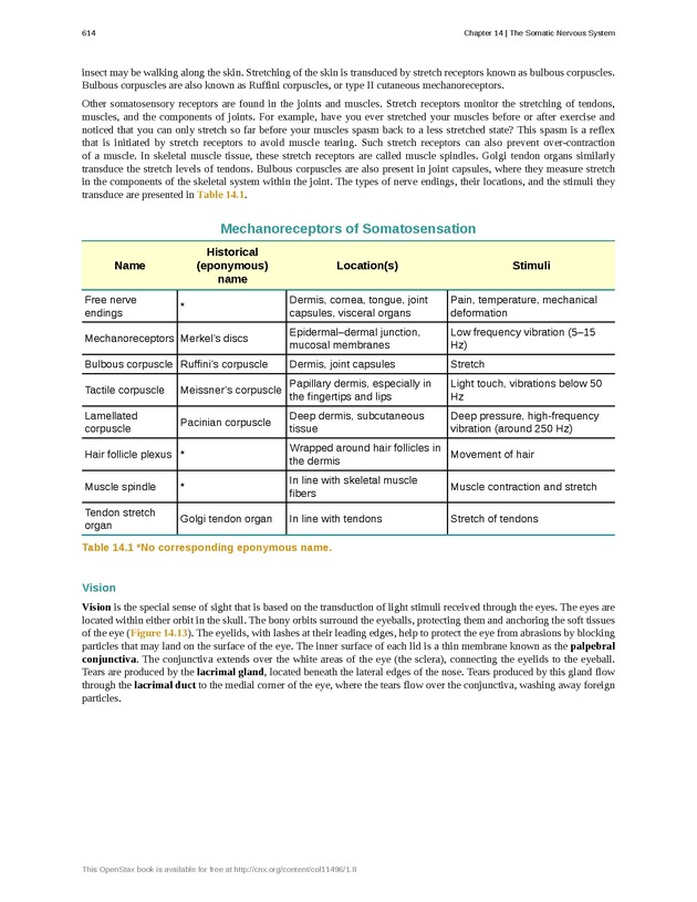 Anatomy & Physiology - 