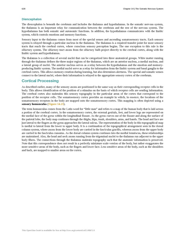 Anatomy & Physiology - 