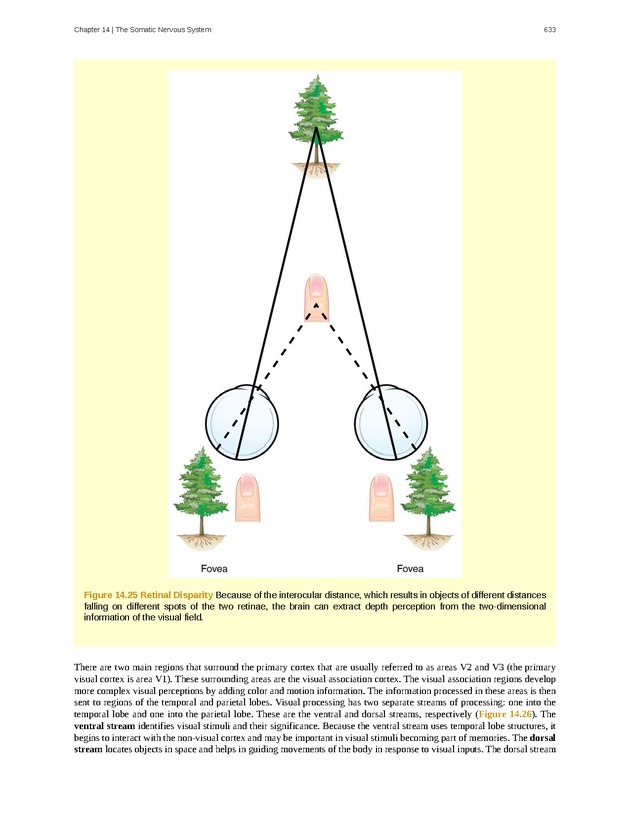 Anatomy & Physiology - 