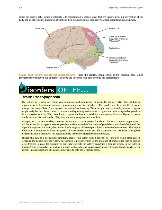 Anatomy & Physiology - 