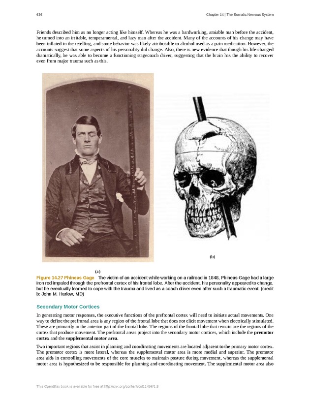 Anatomy & Physiology - 