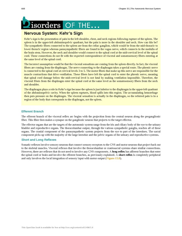Anatomy & Physiology - 
