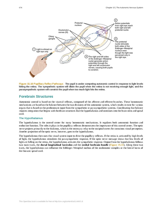 Anatomy & Physiology - 