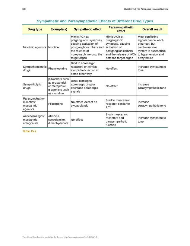 Anatomy & Physiology - 