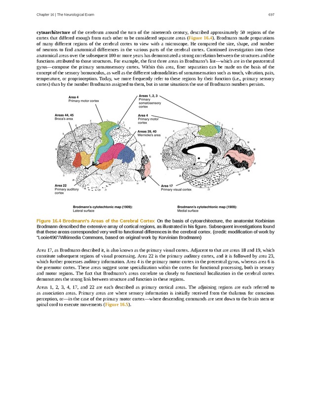Anatomy & Physiology - 